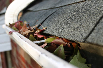 Clogged eavestroughs filled with leaves in Gravenhurst