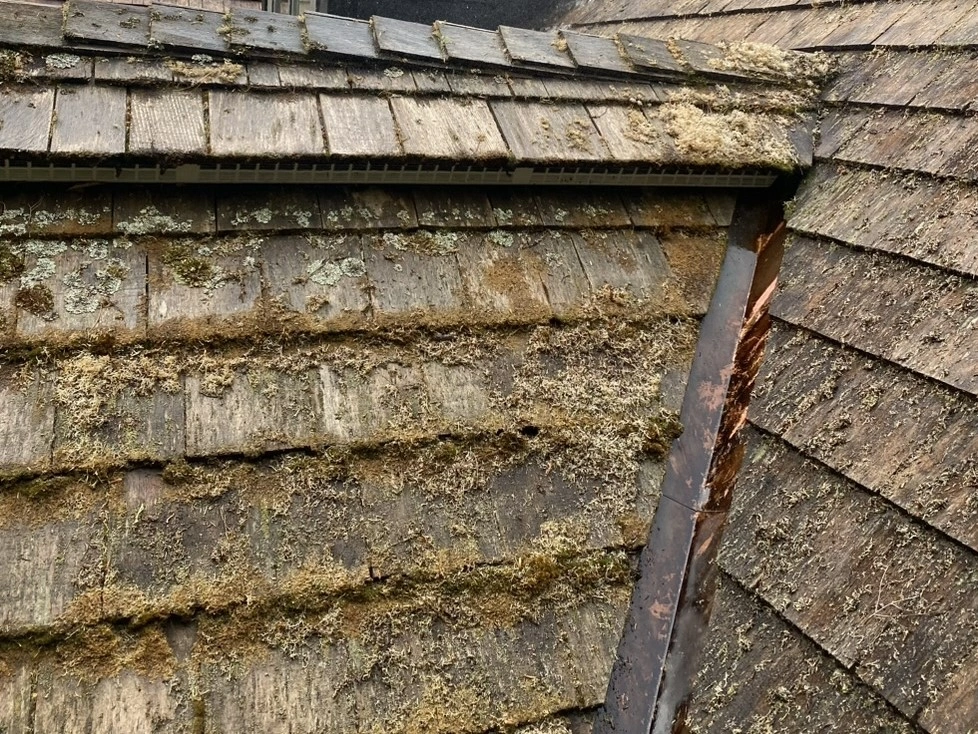 Surface before cleaning in Hamilton