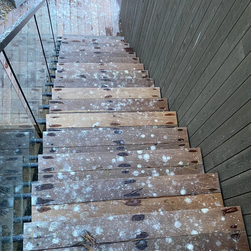 Surface before cleaning in Port Carling